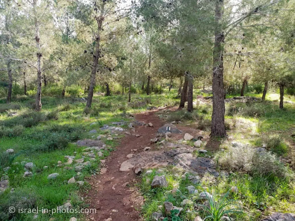 The Warriors Trail