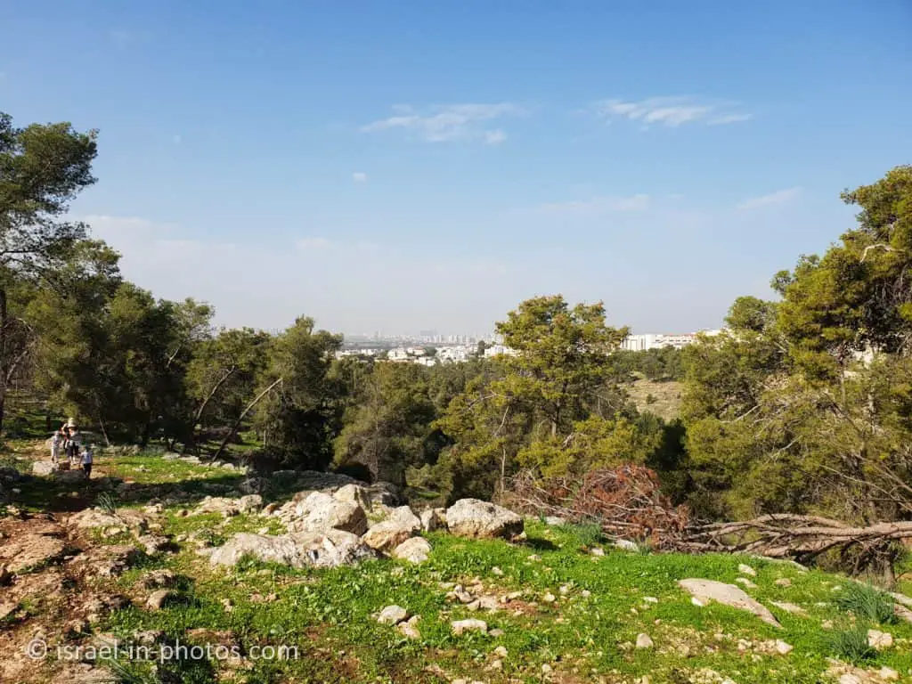 Kule Forest and Elad