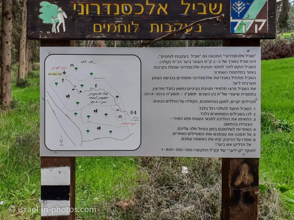 Following the Warriors Trail