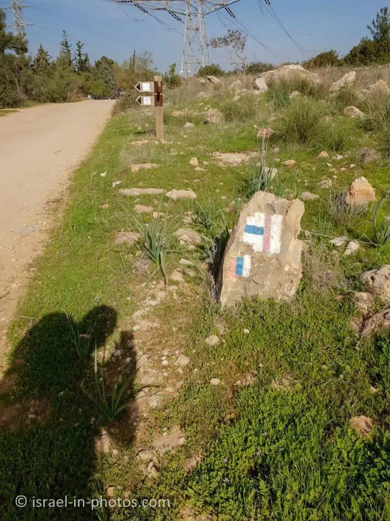 Givat Koah Forest