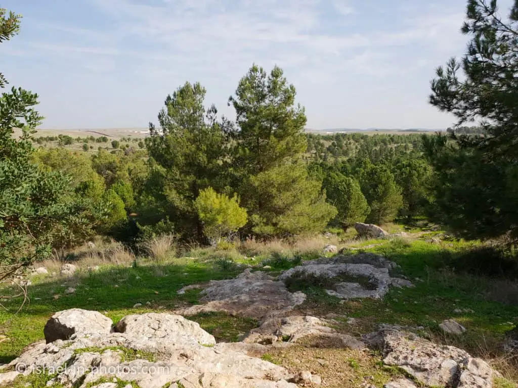 View from Alexandroni Memorial