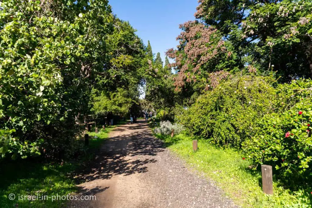 The trail at Havat Noy Botanical Garden