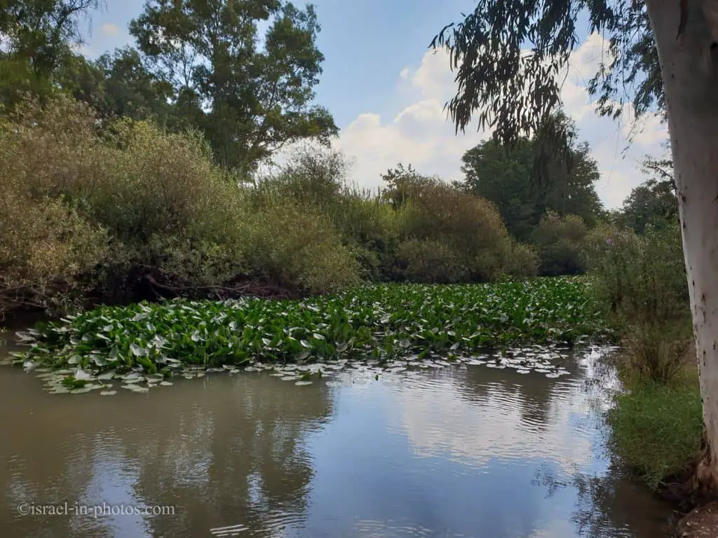 Yarkon River