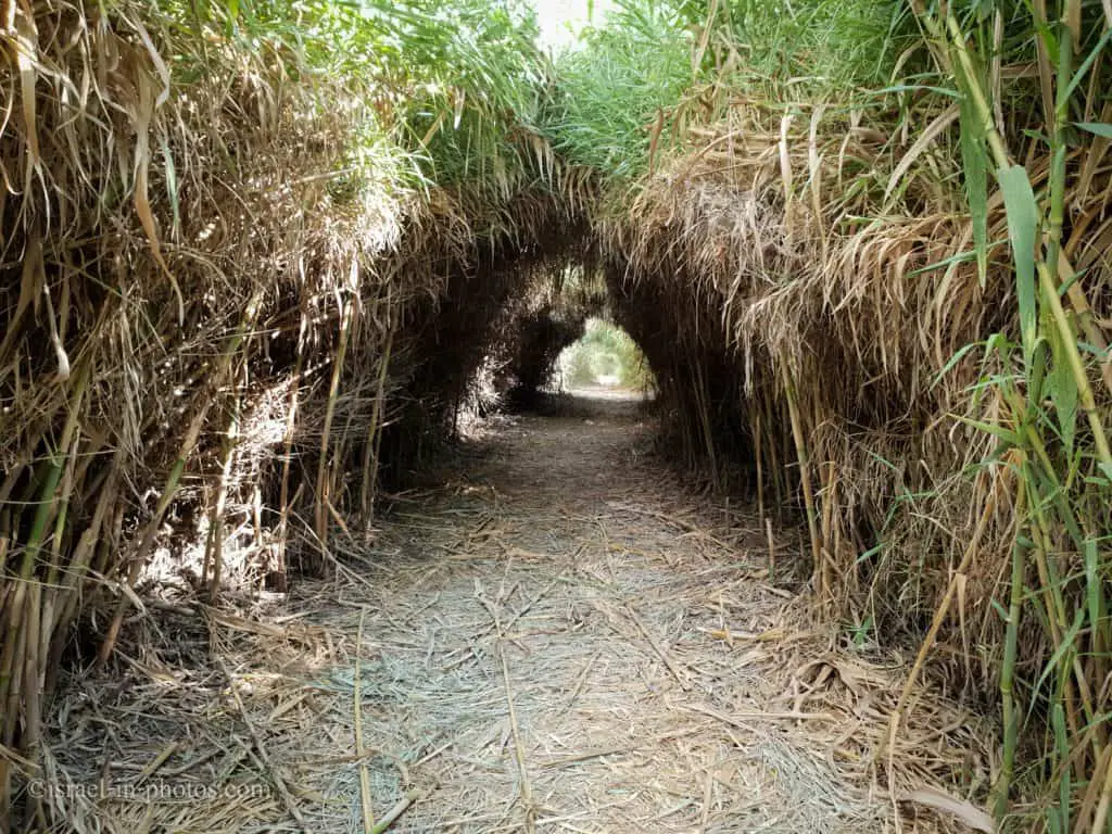 The Romantic Trail at Yarkon Springs