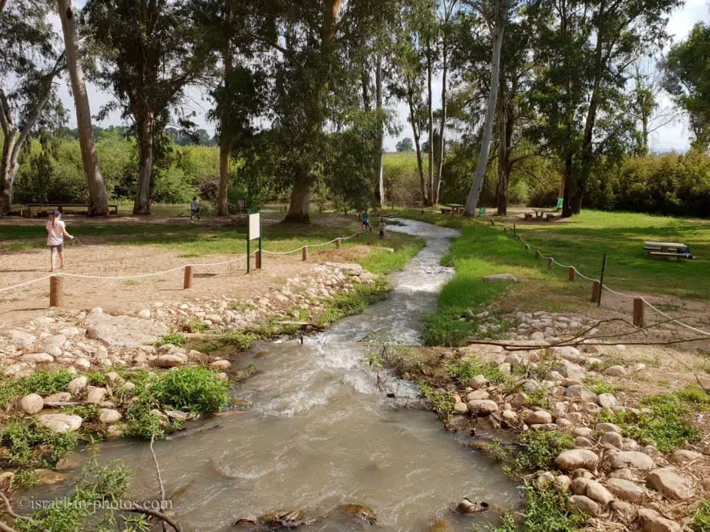 Spring at Yarkon Springs