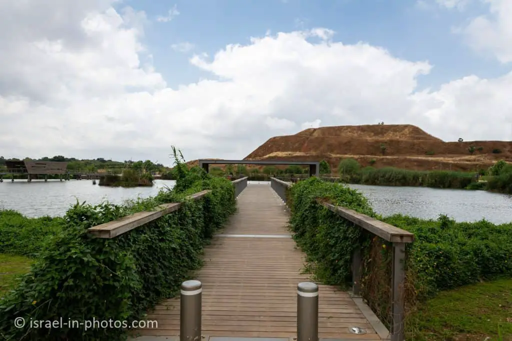 The park and the garbage mountain