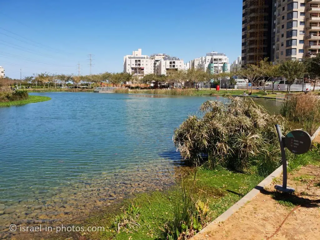 The lake, Eco Park Hadera