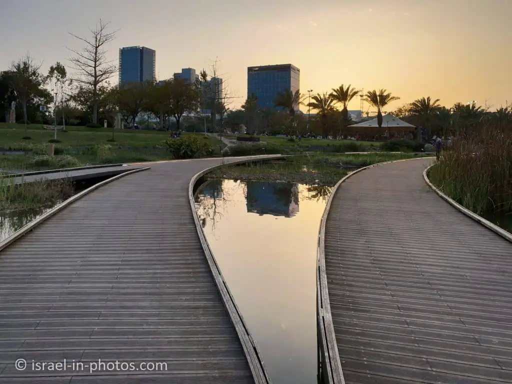 The Ecological Pond at Big Petah Tikva Park