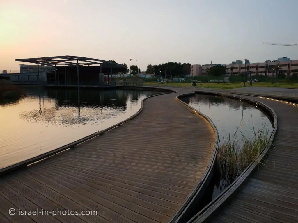 The Ecological Pond at Big Petah Tikva Park