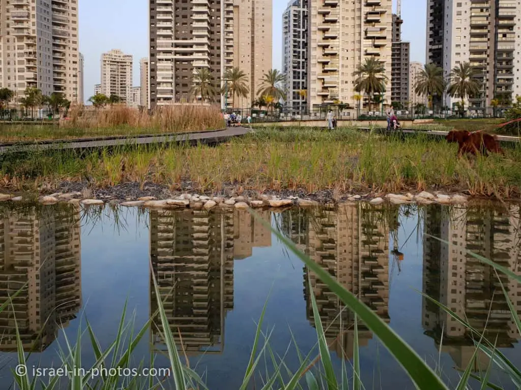 The Ecological Pond at Big Petah Tikva Park