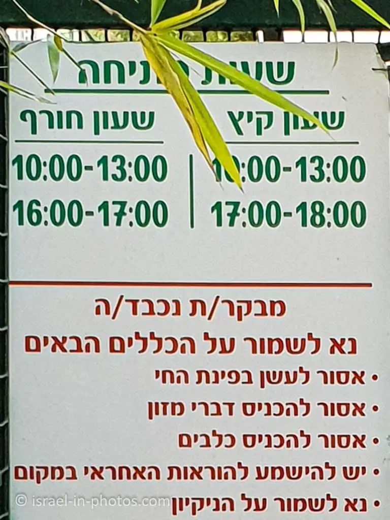 שעות פתיחה של גן החיות