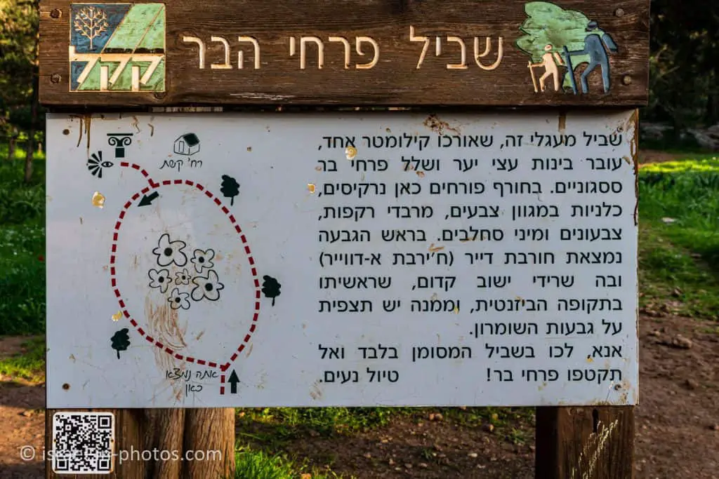 Rosh HaAyin Forest Wildflowers Trail