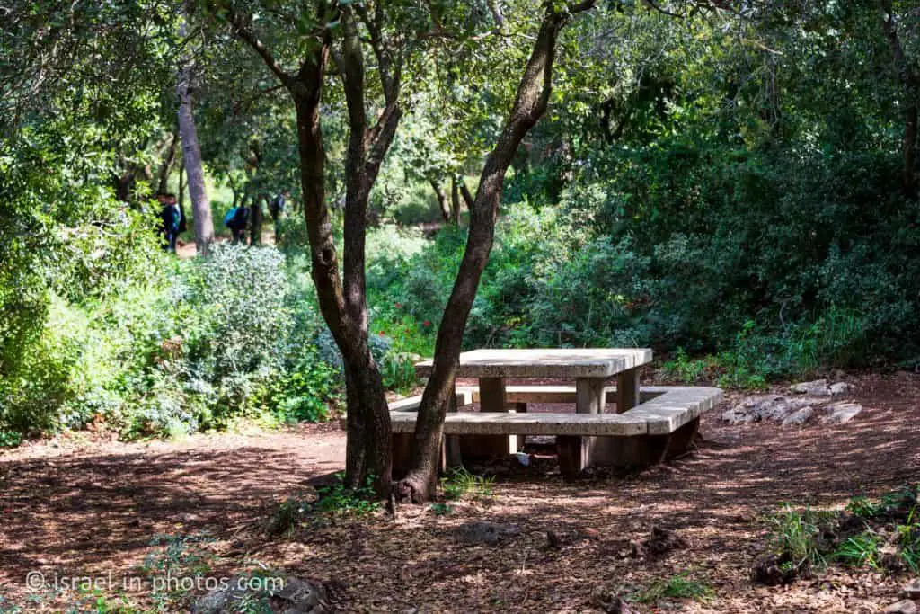 Picnic table