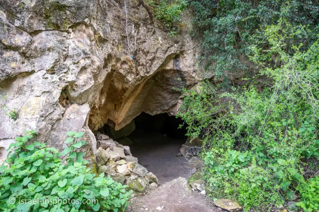 Prehistoric Cave