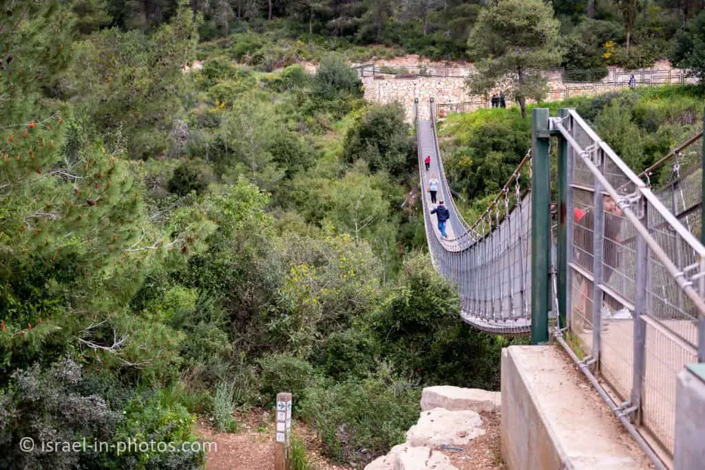 Hanging Bridges at Nesher Park