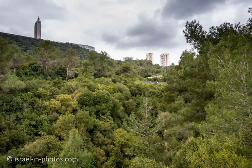 The second Hanging Bridge and Haifa university