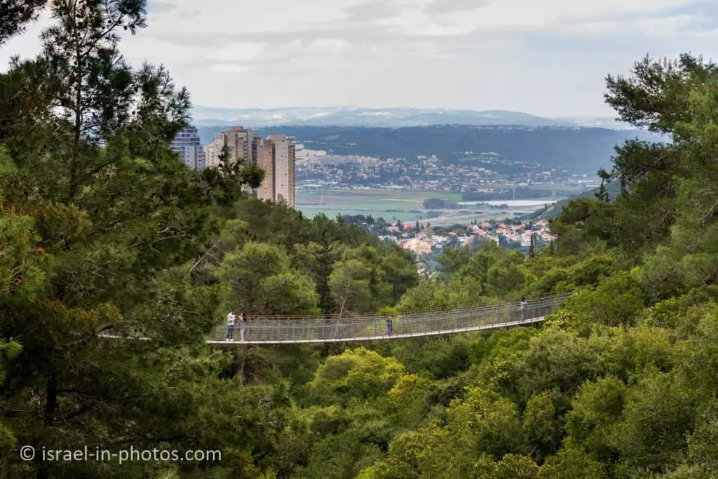 Hanging Bridges at Nesher Park