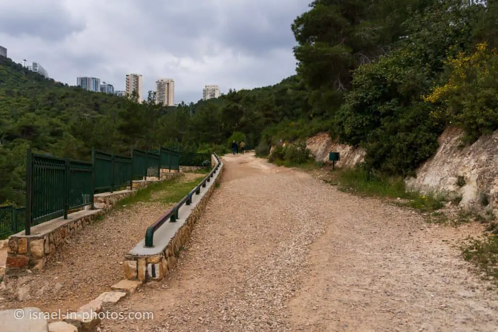 The black track at Nesher Park