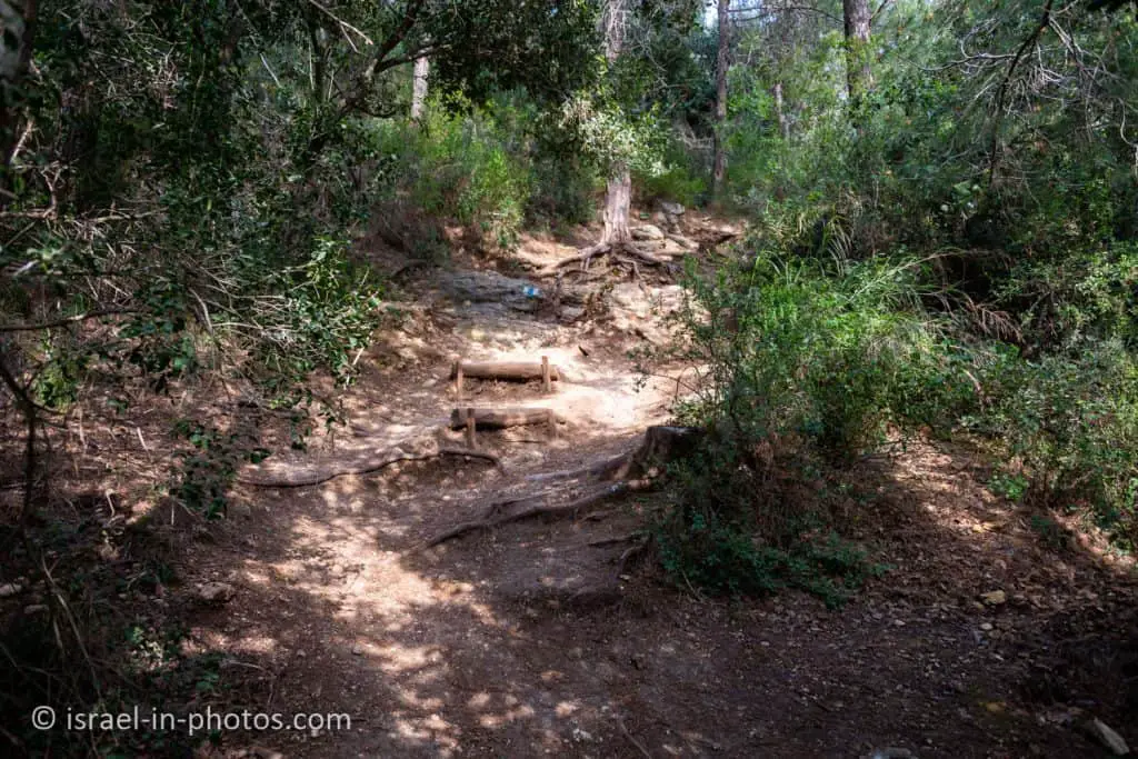 Blue Track at Nesher Park