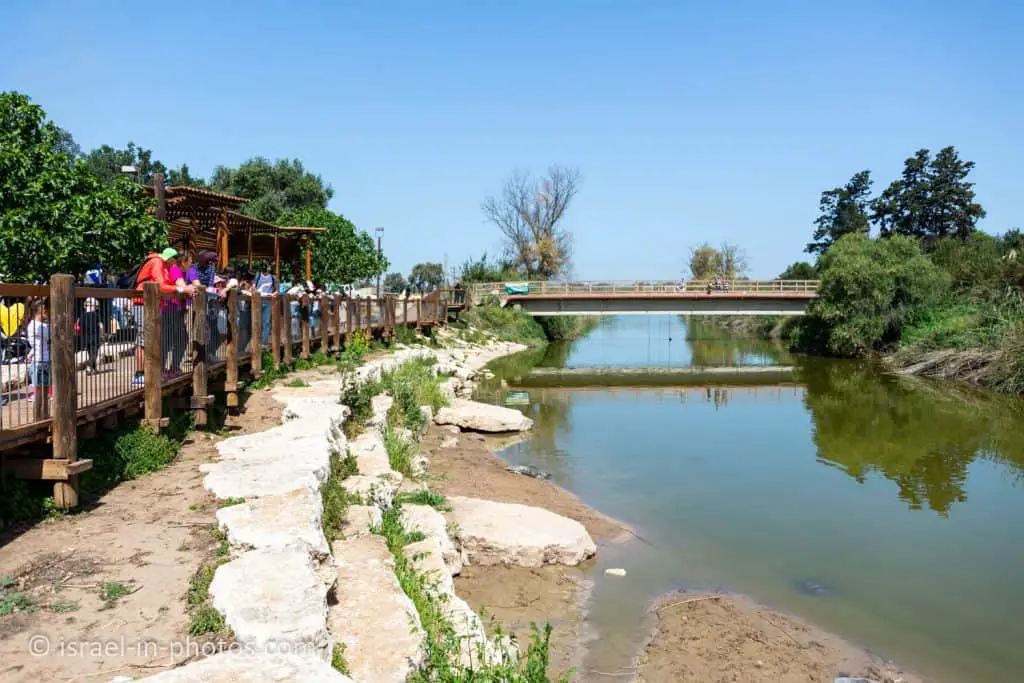 Turtle Bridge at Alexander River