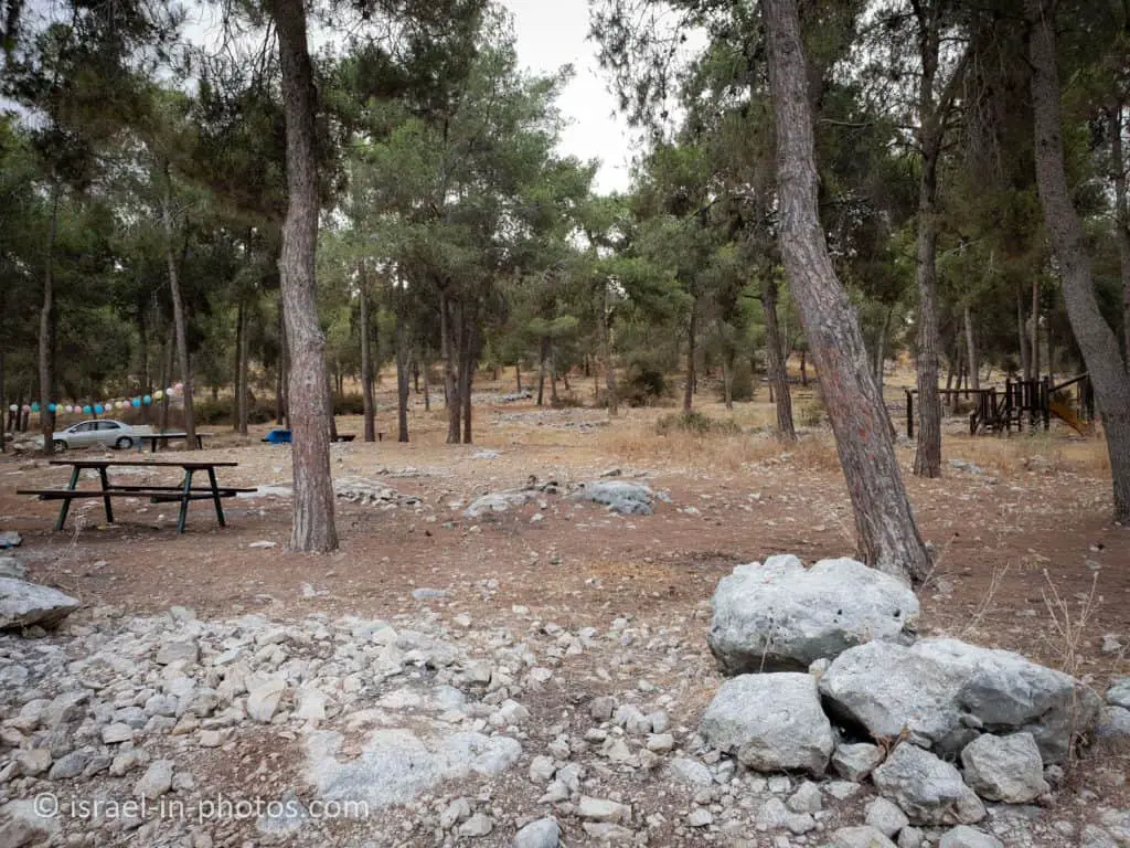 Picnic area in Oranit forest