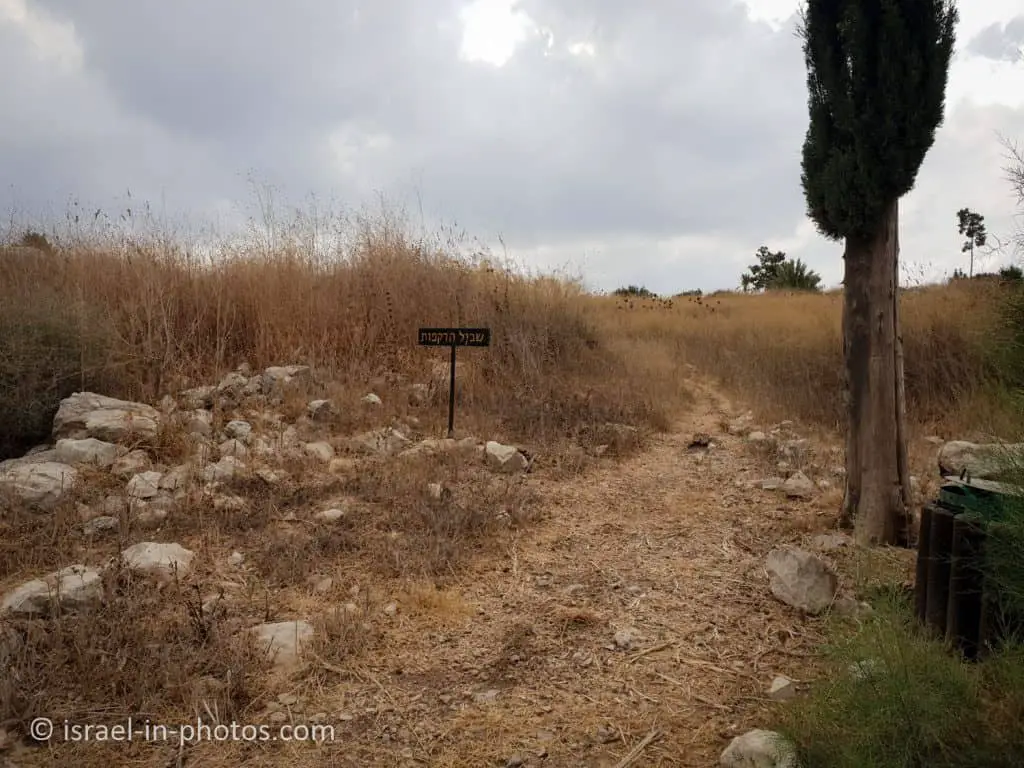 Cyclamen trail