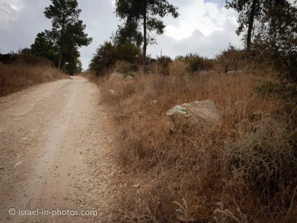 A road in Horshim Forest
