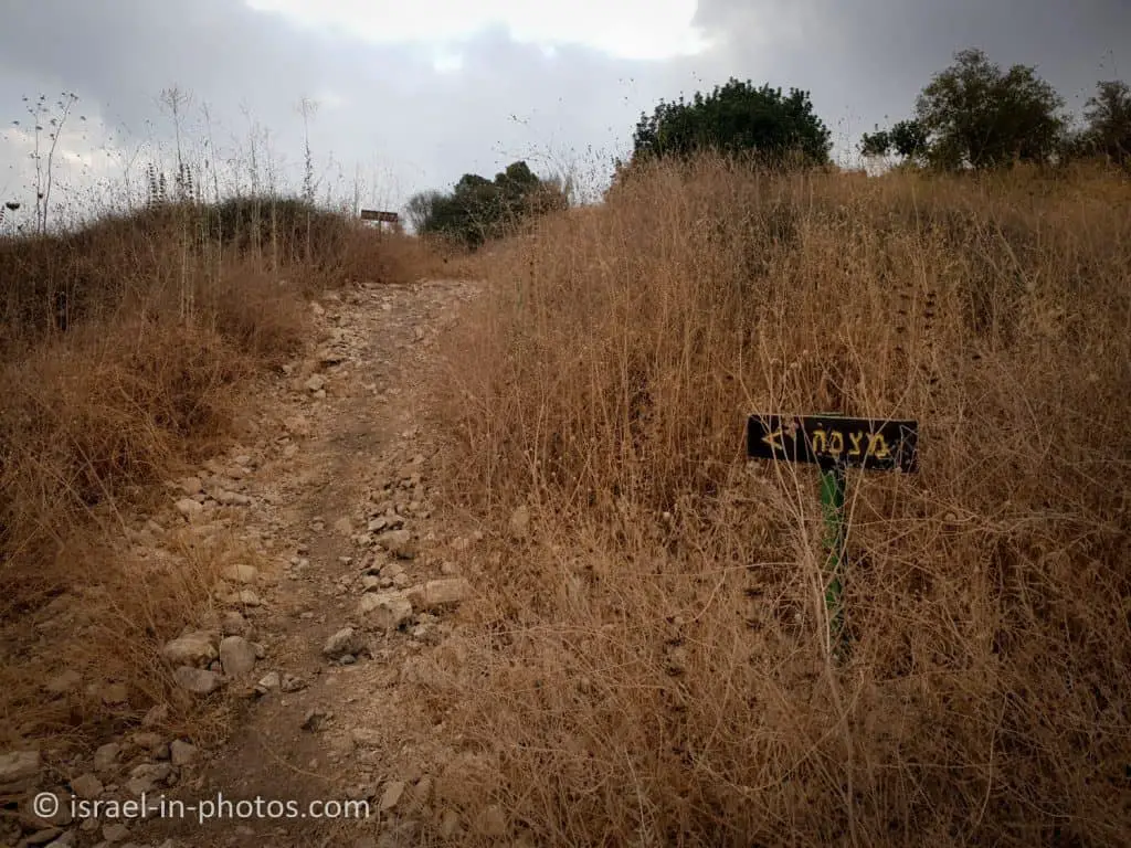 The trail to the viewpoint