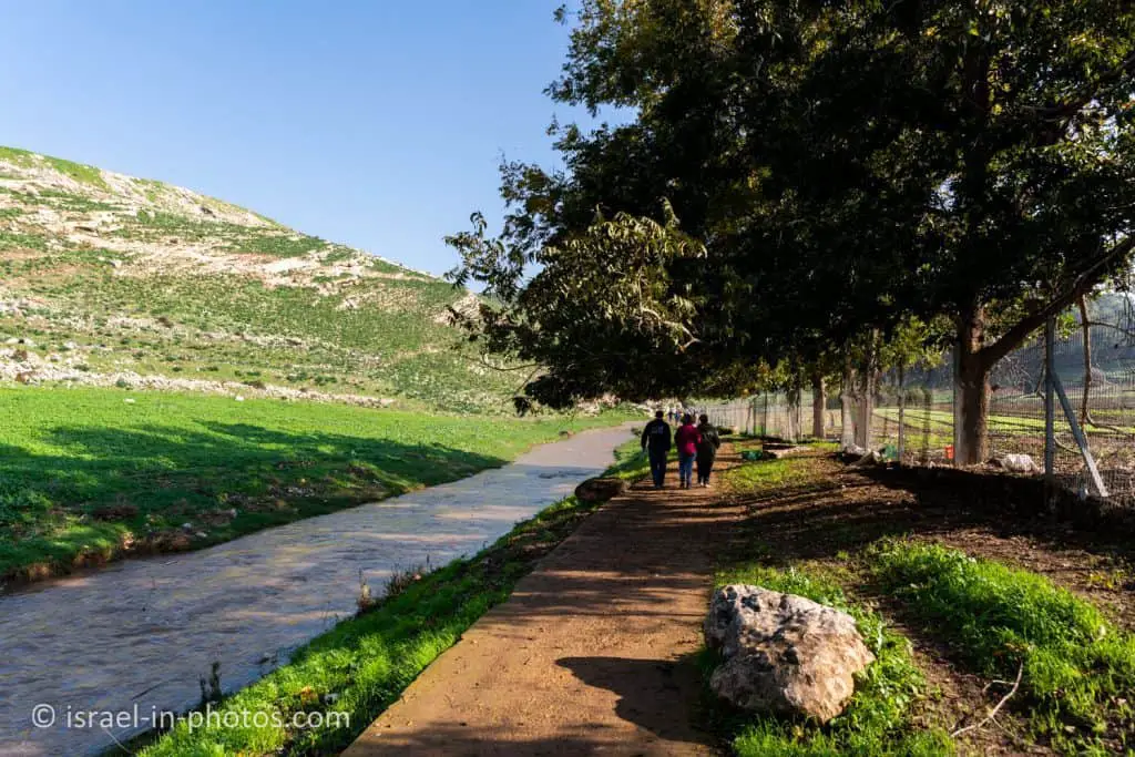 טיילת נחל ציפורי