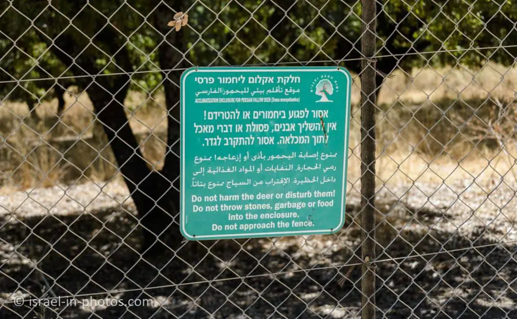 Acclimatization Enclosure for Persian Fallow Deer