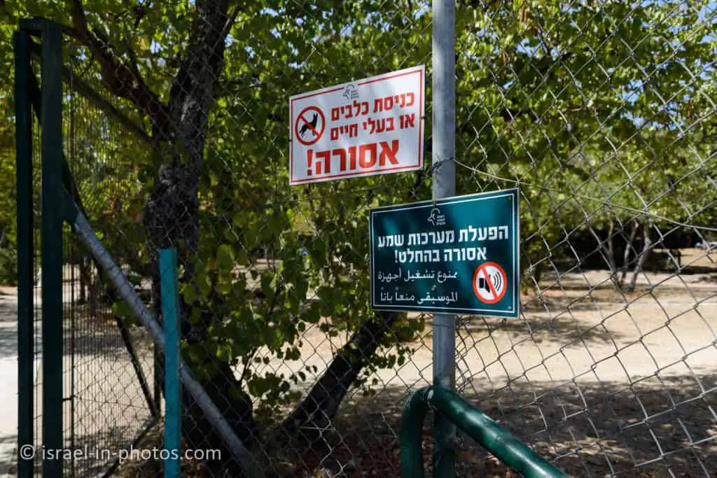 Dogs and animals are not allowed
