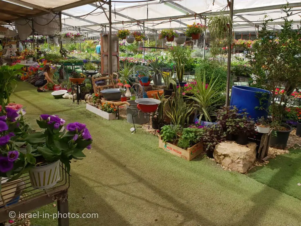 Nursery and Garden Center at Kfar Haroeh