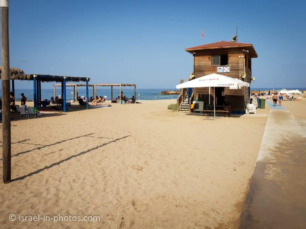 Lifeguard Services