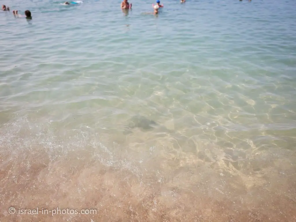 The Water Entrance