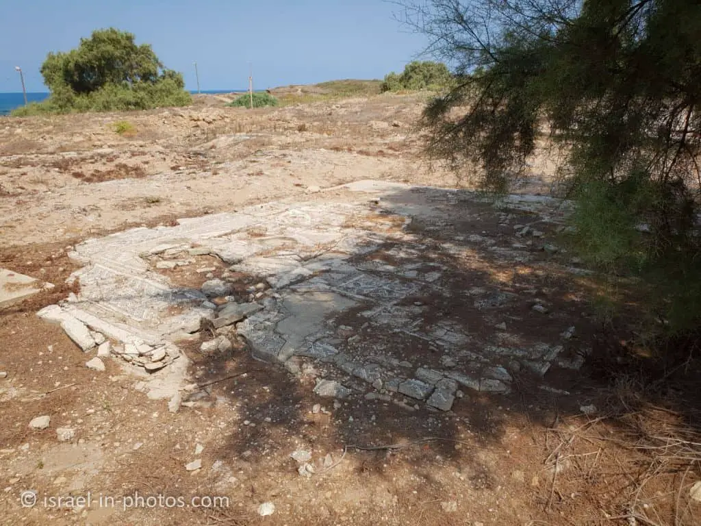 Shavei Tzion mosaic