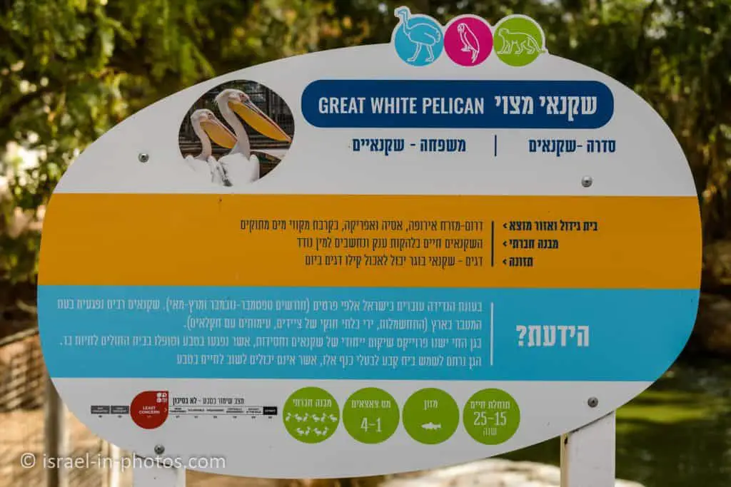 גן החי, פתח תקווה