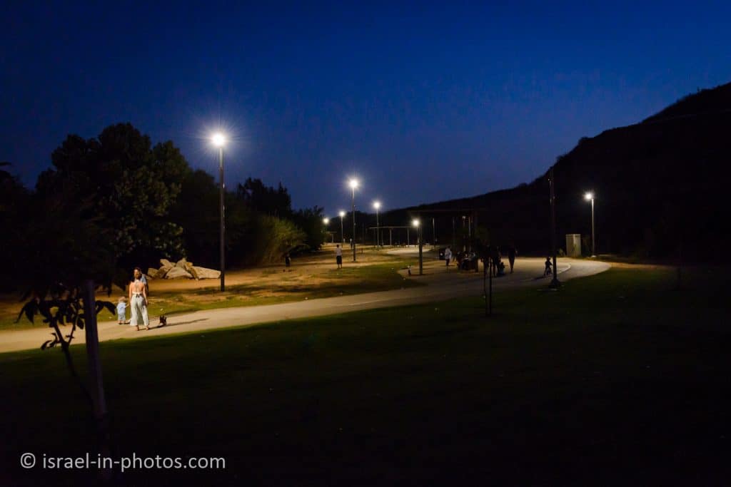 The Park at Night