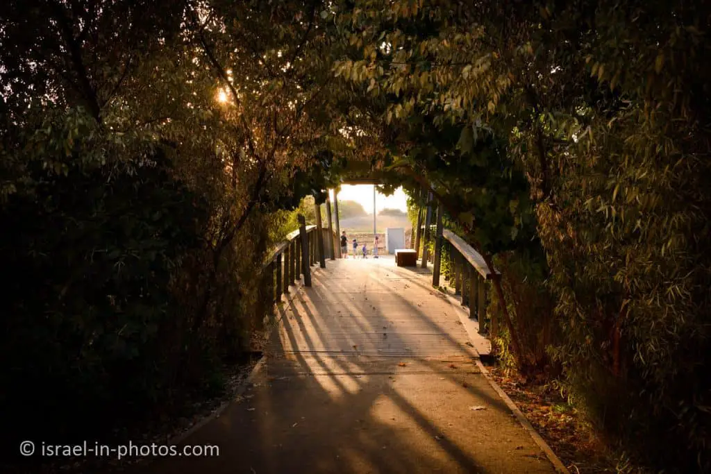A bridge in the park