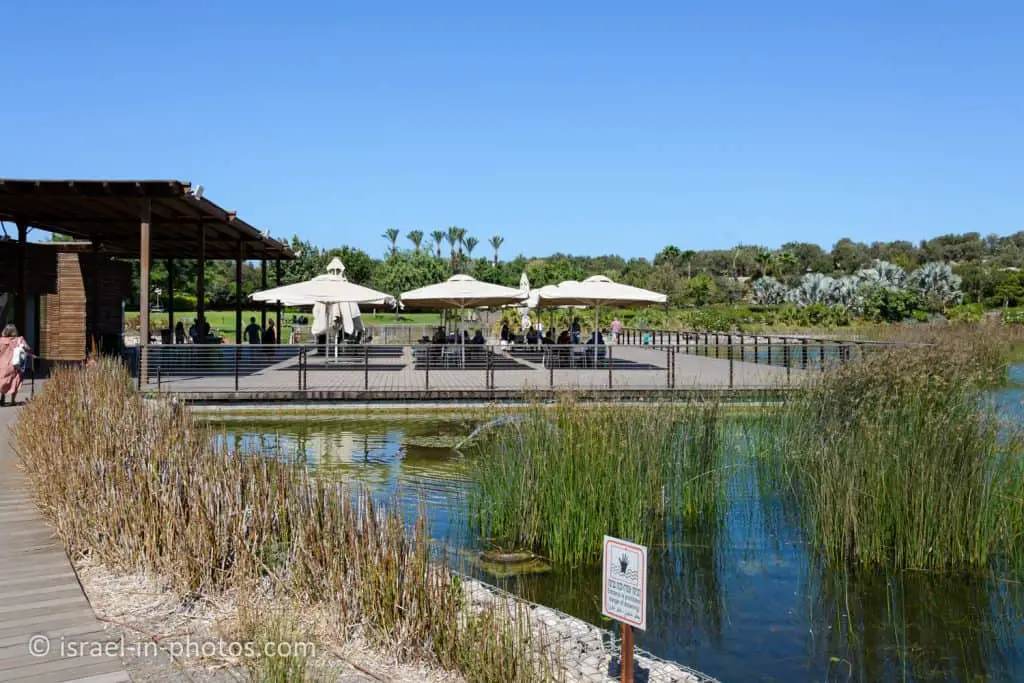 Ecological Lake, Ariel Sharon Park