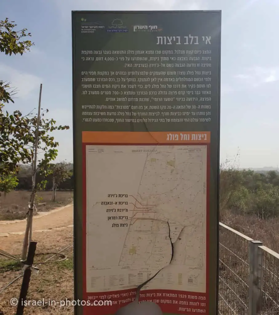 אי בלב ביצות