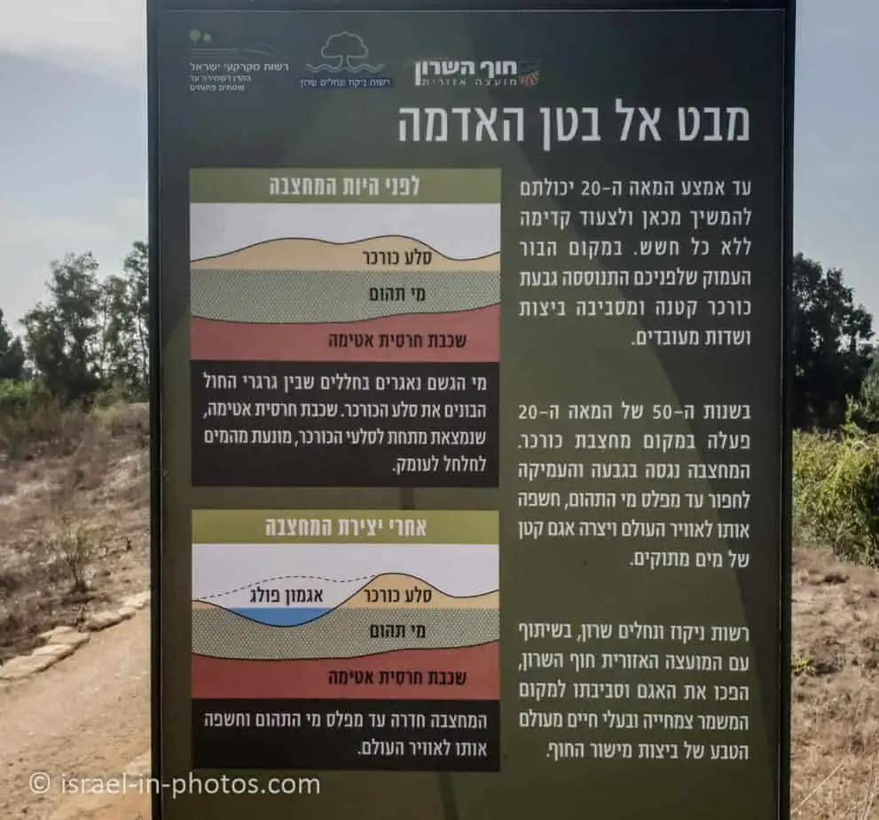 יצירתו של אגמון פולג