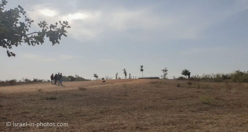 אגמון פולג