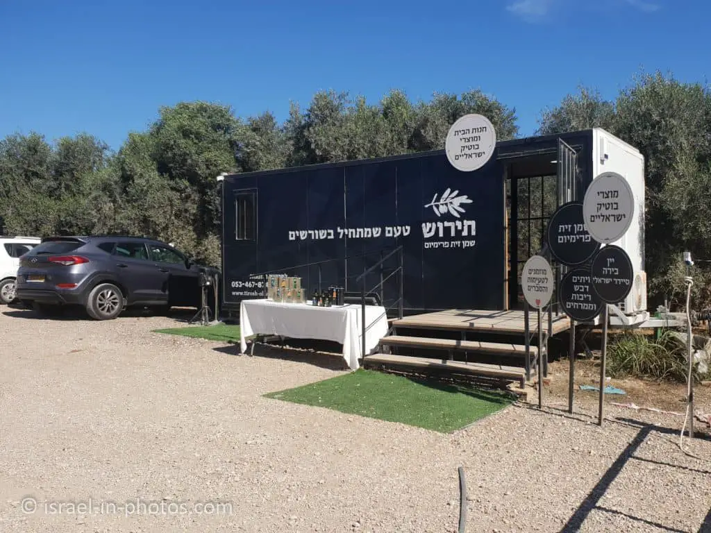 שמן זית תירוש