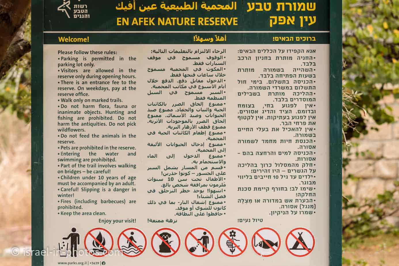Ein Afek Nature Reserve - Nature and Wildlife for Families