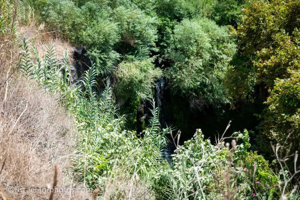 El Al Stream