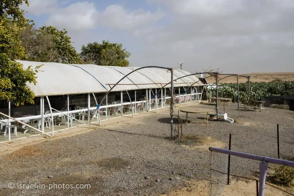 Orly Cactus Farm