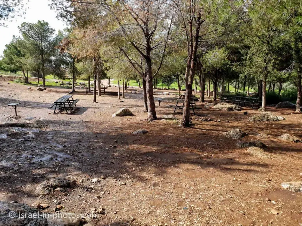 Picnic Area in Shoham Forest Park