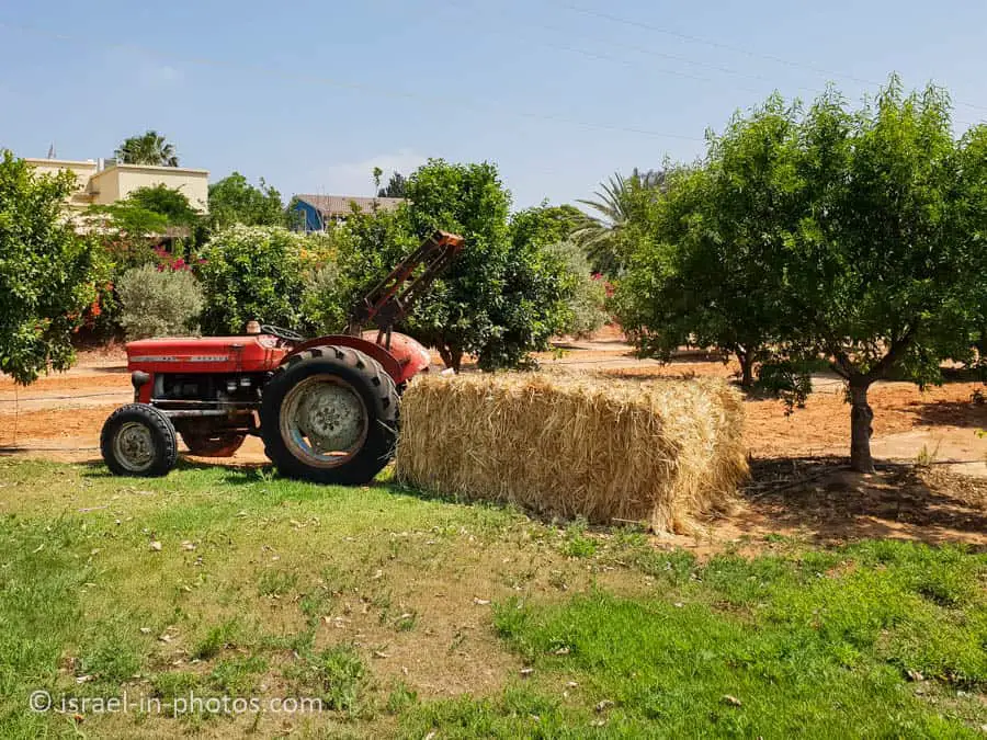 Tractor