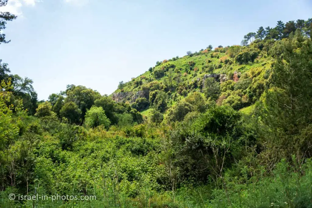 Национальный парк и природный заповедник Маунт-Кармель