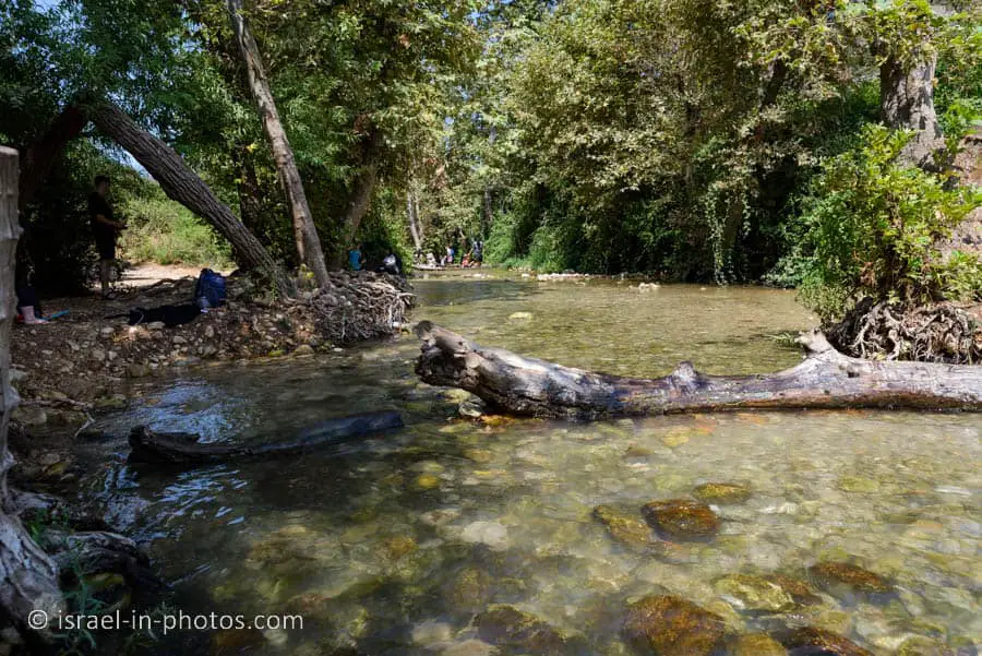 Water Trail